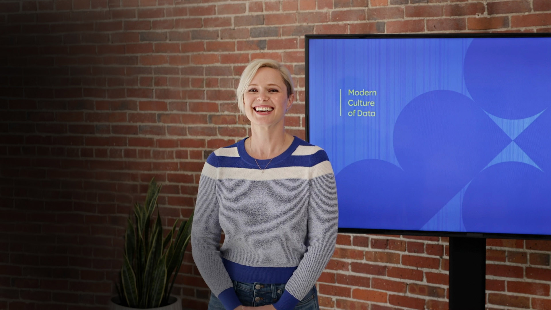 The Modern Culture of Data branding and set.